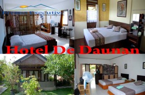 Hotel De Daunan